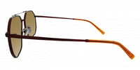THE REBEL 21