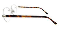 ERNA 11