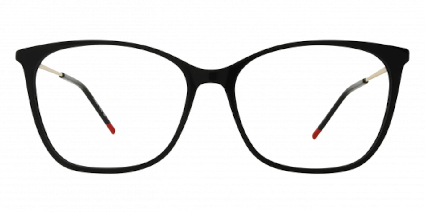 Hugo Boss HG1294 01