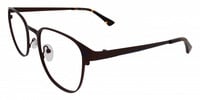 LESTER 11