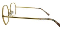 LIN 21