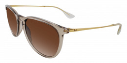 Ray-Ban Erika 4171 Ray-Ban Erika 4171