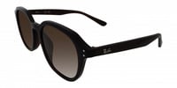 Ray-Ban 4459D 11