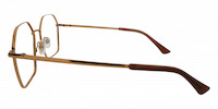ROBIN 21
