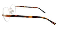 ERNA 11