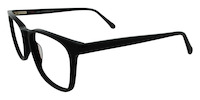 CAPRI 11