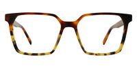 DELL 01
