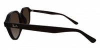Ray-Ban 4459D 21