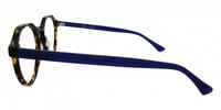 REGINAR 21